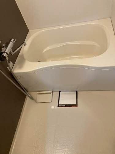 �y�o�X�z�@