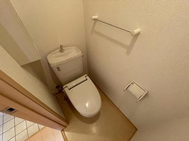 �y�g�C���z�@