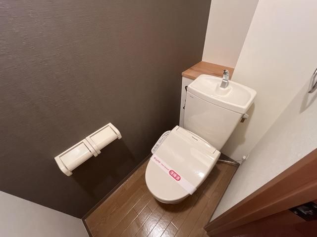 �y�g�C���z�@