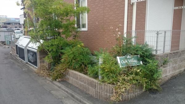 �y�G���g�����X�z�@