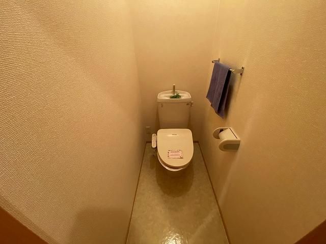 �y�g�C���z�@