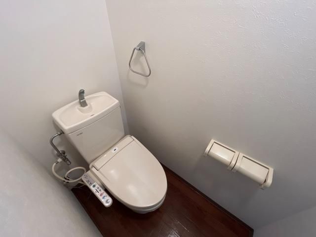 �y�g�C���z�@