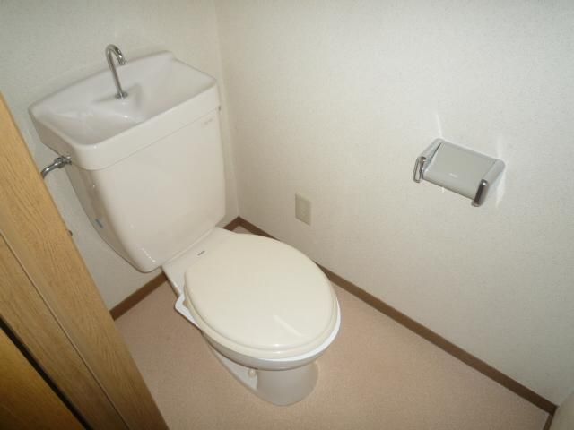 �y�g�C���z�@