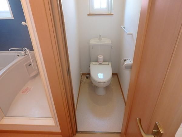 �y�g�C���z�@