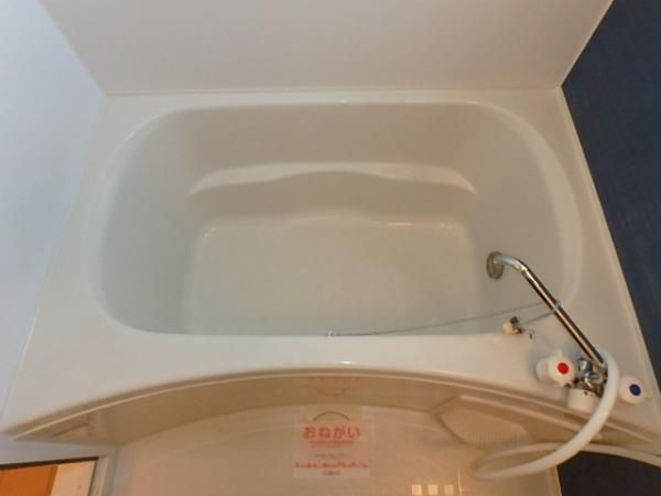 �y�o�X�z�@