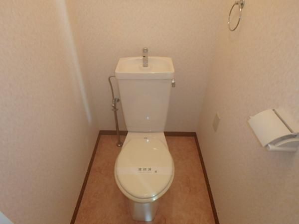 �y�g�C���z�@