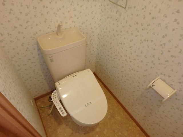 �y�g�C���z�@