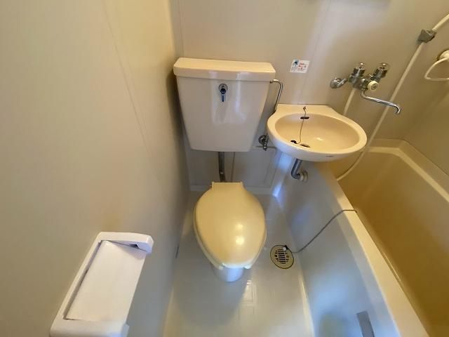 �y�g�C���z�@