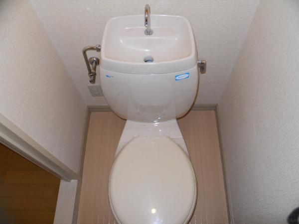 �y�g�C���z�@