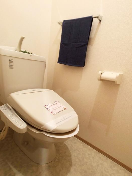 �y�g�C���z�@