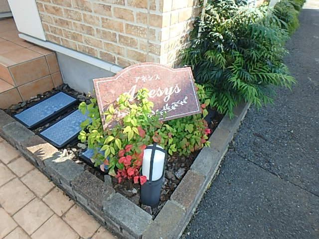 �y���̑��z�@