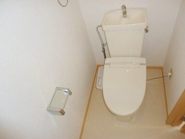 �y�g�C���z�@