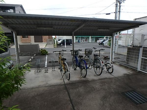 �y���̑����L�����z�@