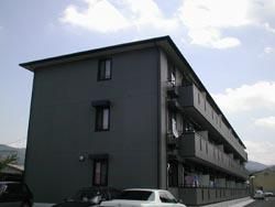 �y�G���g�����X�z�@