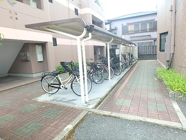 �y���̑����L�����z�@