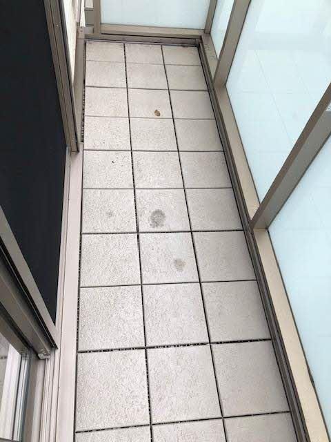 �y�o���R�j�[�z�@