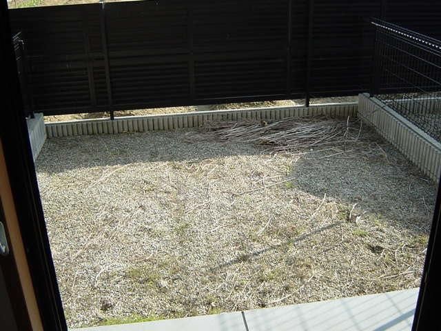 �y�o���R�j�[�z�@����p�끙