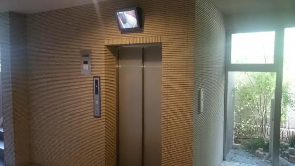 �y���̑����L�����z�@