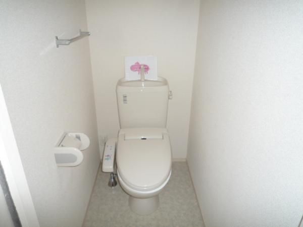 �y�g�C���z�@