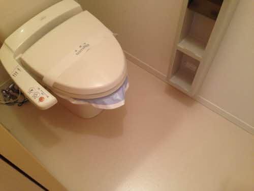 �y�g�C���z�@