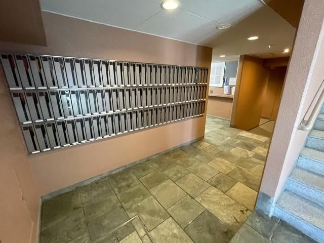 �y���̑����L�����z�@