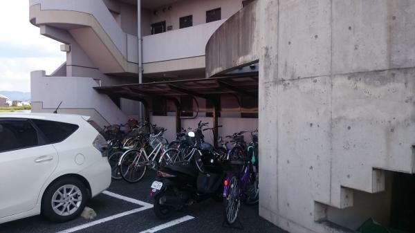 �y���̑����L�����z�@