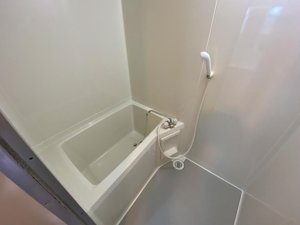 �y�o�X�z�@