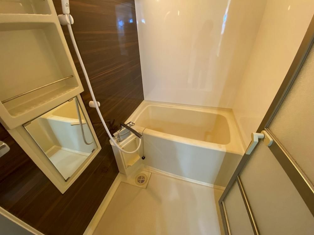 �y�o�X�z�@