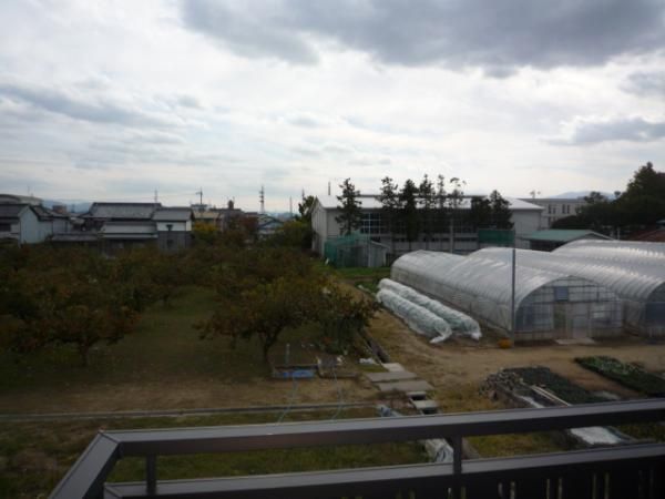 �y���]�z�@