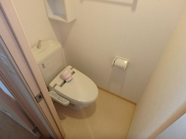 �y�g�C���z�@