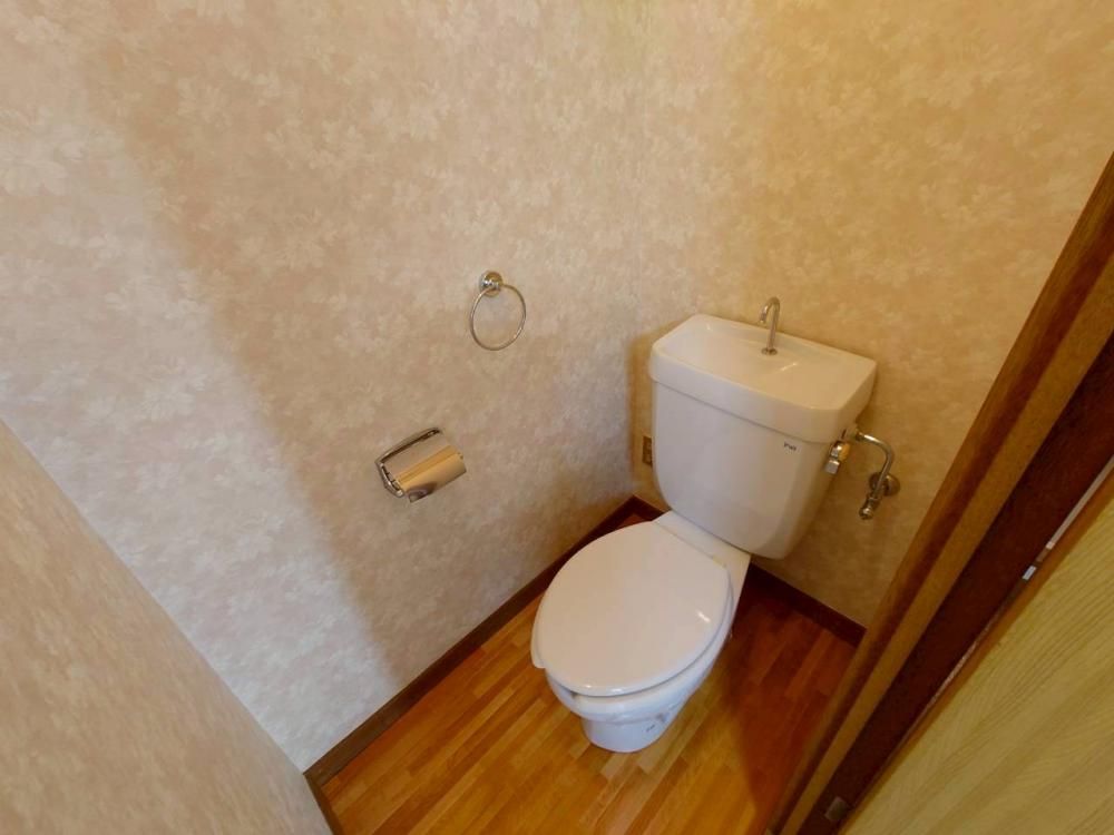 �y�g�C���z�@