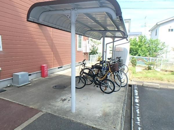 �y���̑����L�����z�@