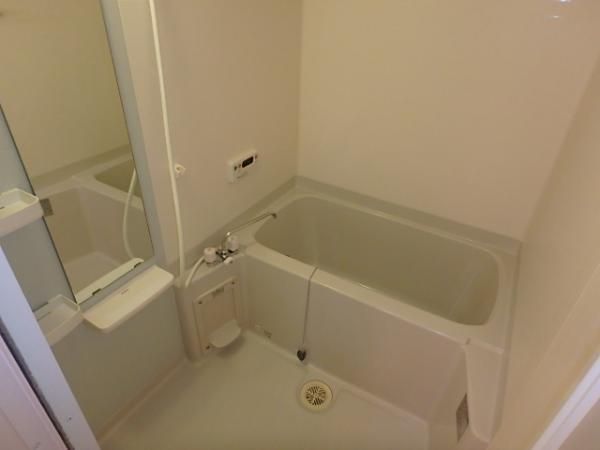 �y�o�X�z�@