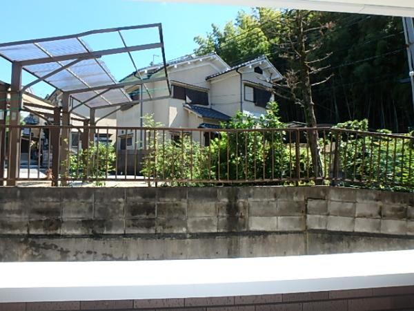 �y���]�z�@