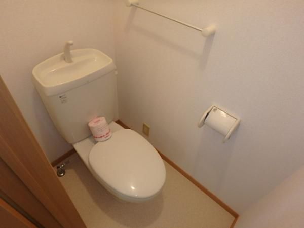 �y�g�C���z�@